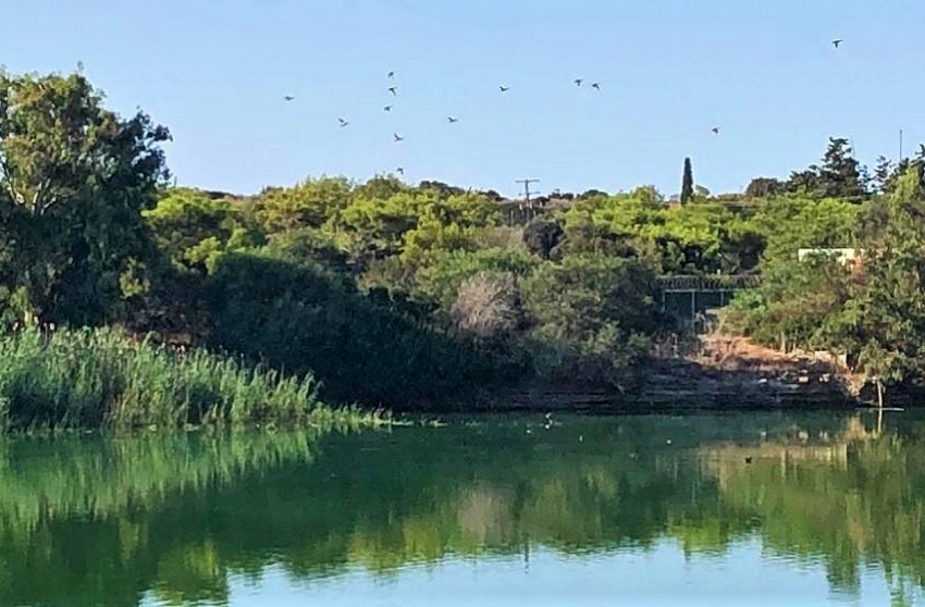 Озеро Деспотики в Лимассоле: фото 9 Озеро Деспотики в Лимассоле: фото 9