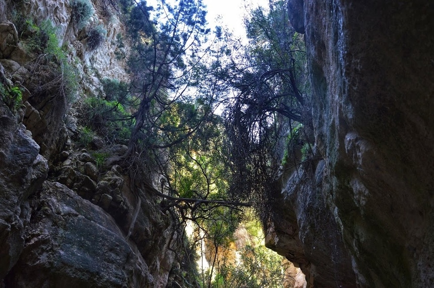 Ущелье Авакас на Кипре (Avakas Gorge. Cyprus): фото 49