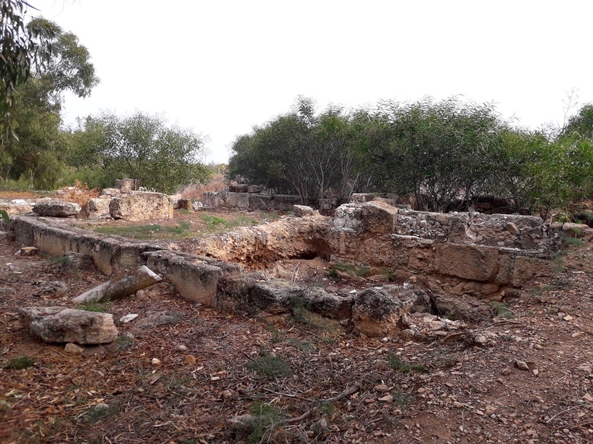 Дивная история саламинских руин: фото 7