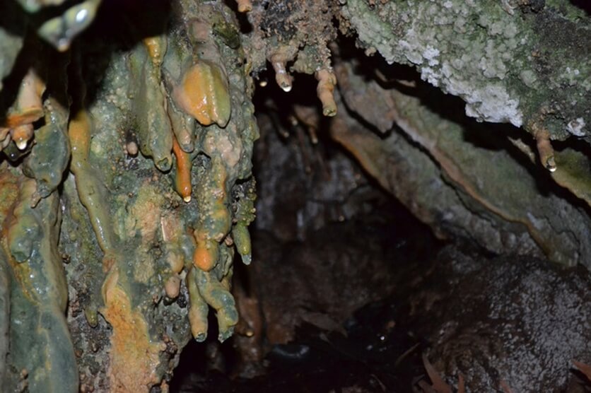 Пещеры со сталактитами на берегах реки Диаризос на Кипре (Фото и видео): фото 13