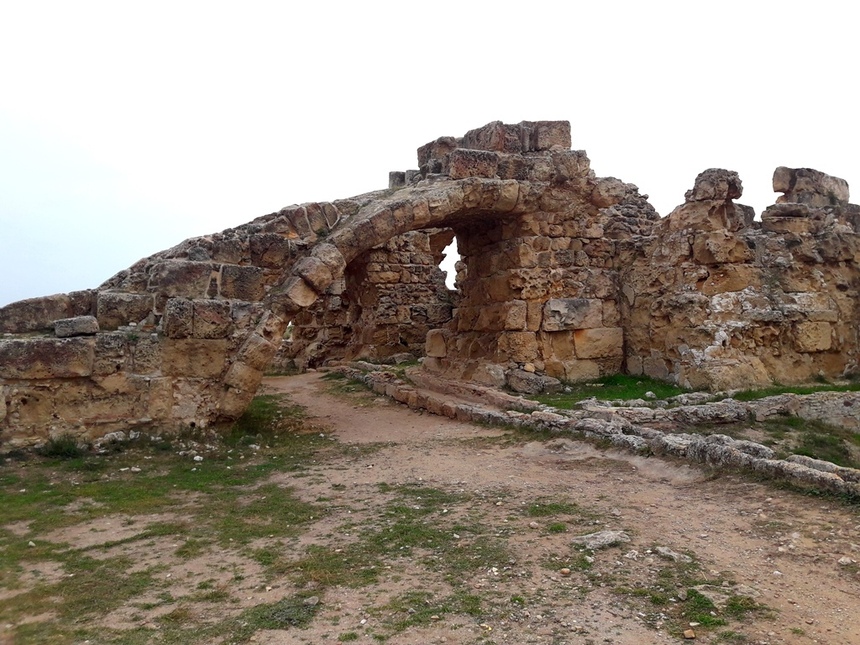 Дивная история саламинских руин: фото 43