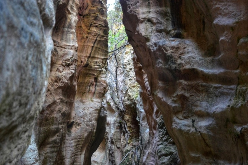 Ущелье Авакас на Кипре (Avakas Gorge. Cyprus): фото 64