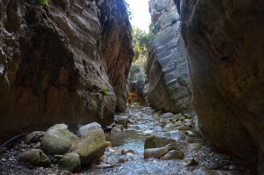 Ущелье Авакас на Кипре (Avakas Gorge. Cyprus): фото 51