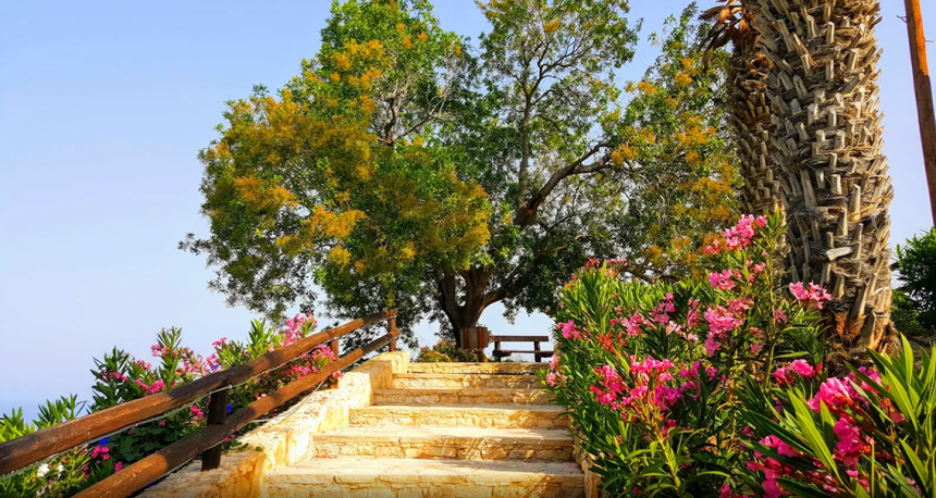 Лемба Парк - долина цветов на Кипре