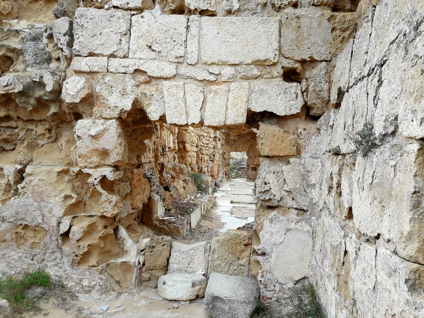 Дивная история саламинских руин: фото 32