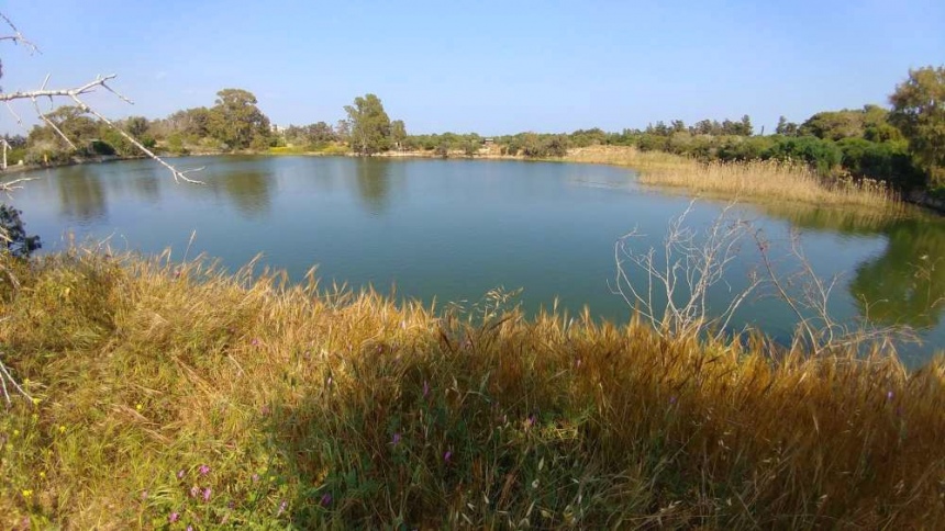 Озеро Деспотики в Лимассоле: фото 4 Озеро Деспотики в Лимассоле: фото 4