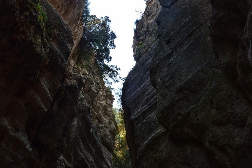 Ущелье Авакас на Кипре (Avakas Gorge. Cyprus): фото 46