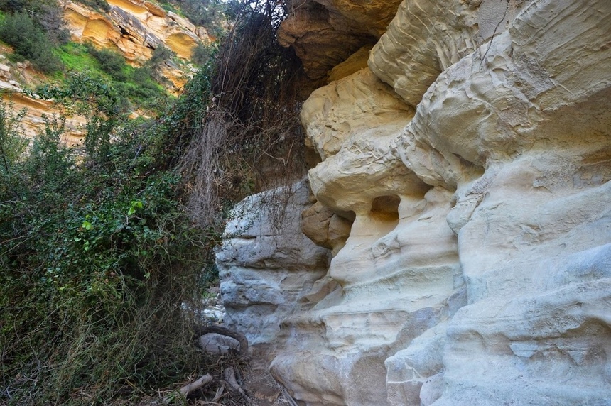 Ущелье Авакас на Кипре (Avakas Gorge. Cyprus): фото 22