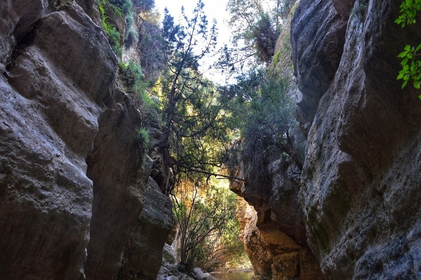 Ущелье Авакас на Кипре (Avakas Gorge. Cyprus): фото 53