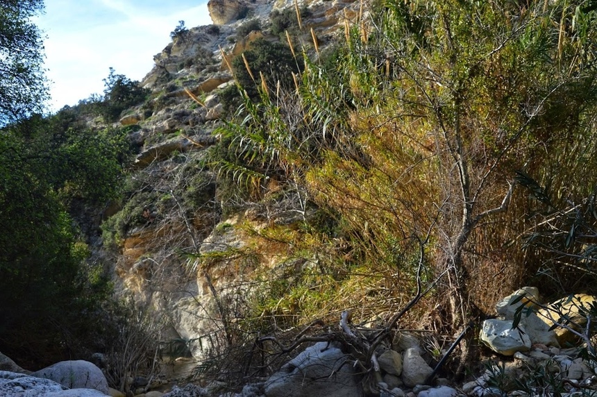 Ущелье Авакас на Кипре (Avakas Gorge. Cyprus): фото 34