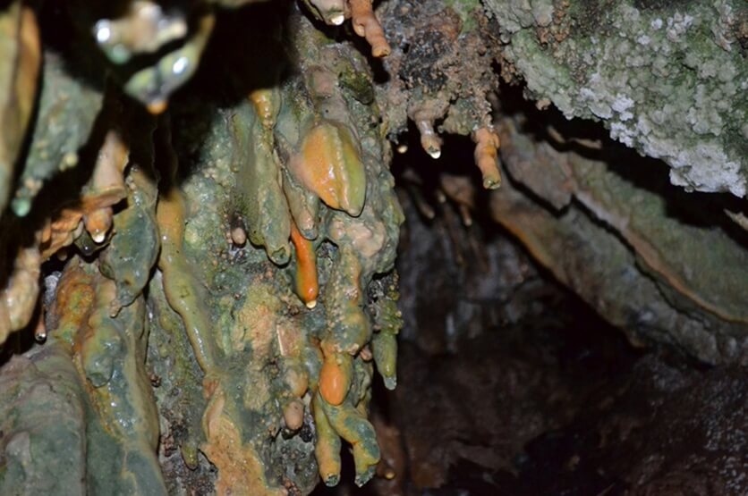 Пещеры со сталактитами на берегах реки Диаризос на Кипре (Фото и видео): фото 14