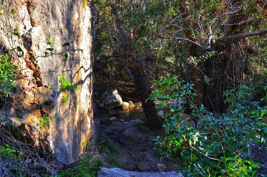 Ущелье Авакас на Кипре (Avakas Gorge. Cyprus): фото 32