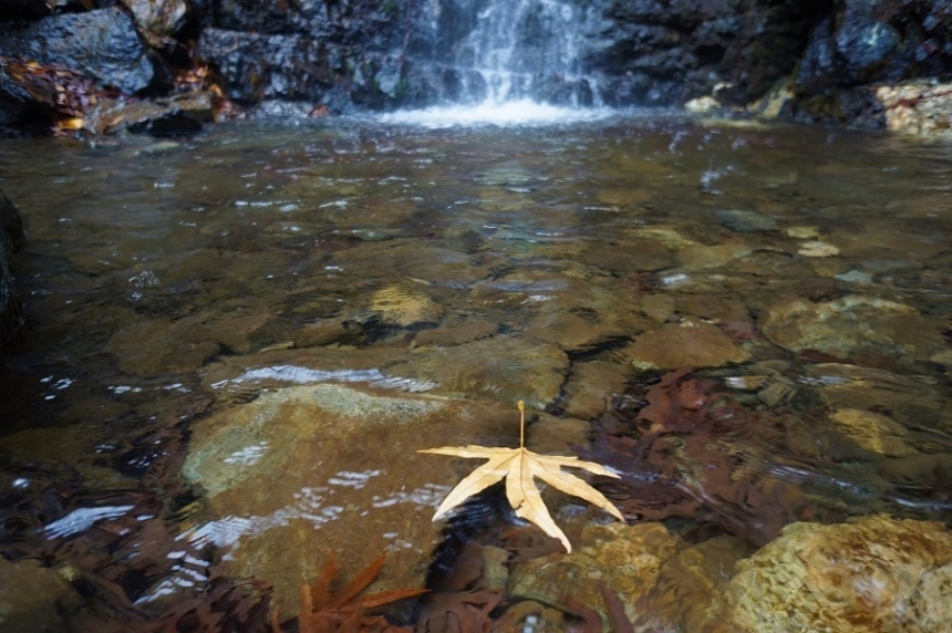 Водопад Каледония: фото 48