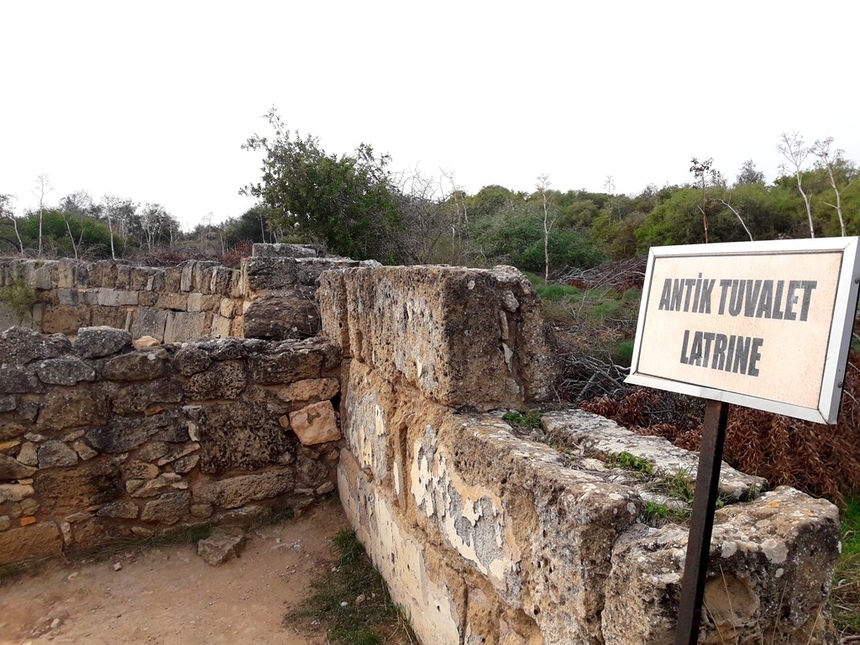 Дивная история саламинских руин: фото 19
