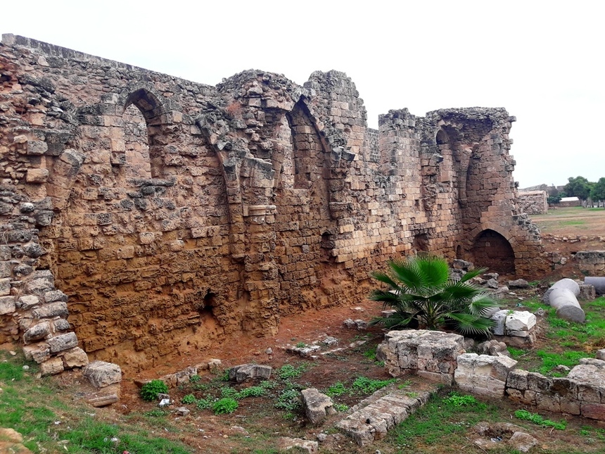 Дивная история саламинских руин: фото 41