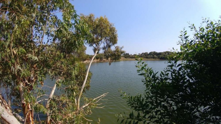 Озеро Деспотики в Лимассоле: фото 6 Озеро Деспотики в Лимассоле: фото 6