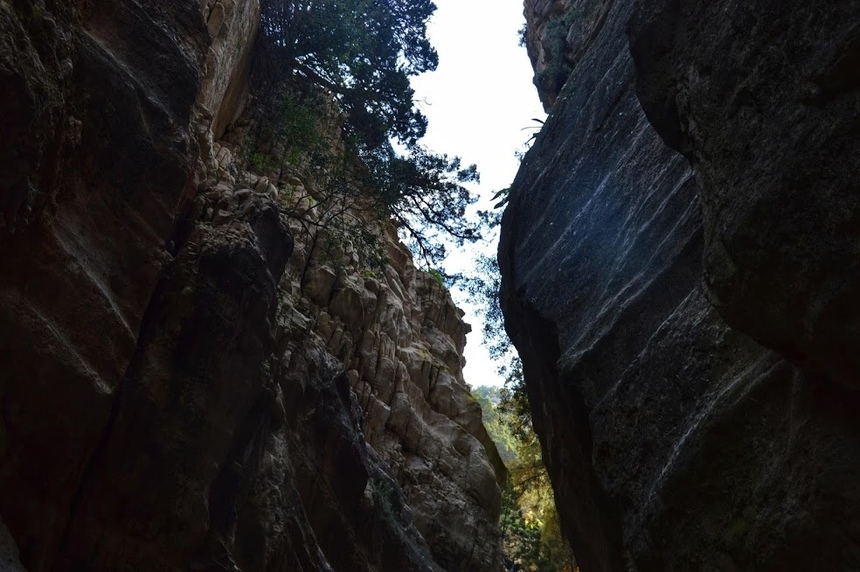 Ущелье Авакас на Кипре (Avakas Gorge. Cyprus): фото 43
