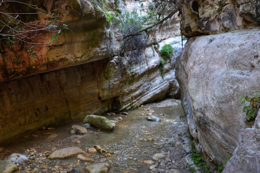 Ущелье Авакас на Кипре (Avakas Gorge. Cyprus): фото 54