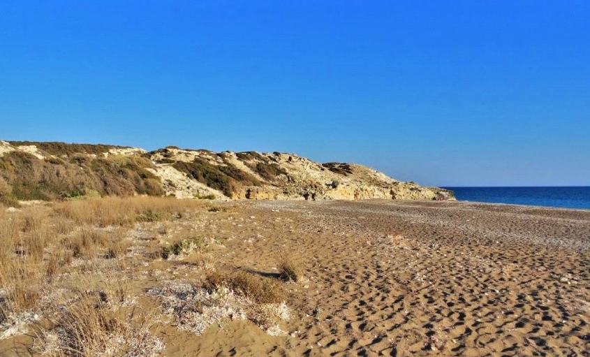 Paramali Turtle Beach - красивый пляж на Кипре, который полюбился морским черепахам!: фото 16