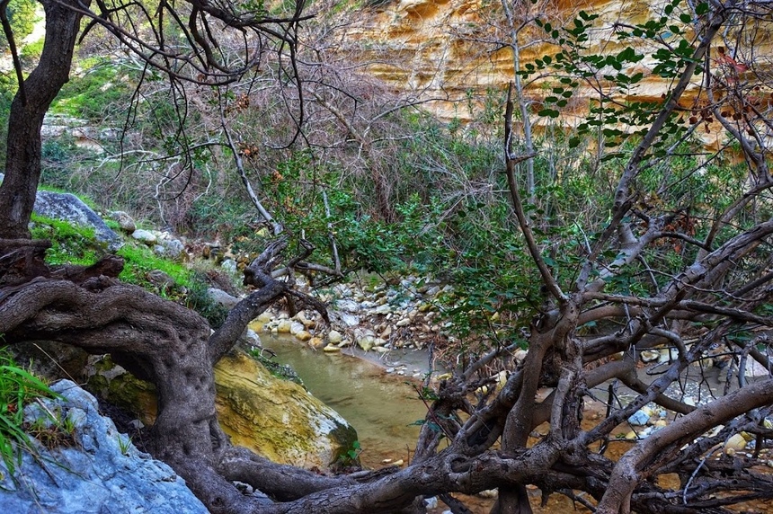 Ущелье Авакас на Кипре (Avakas Gorge. Cyprus): фото 13