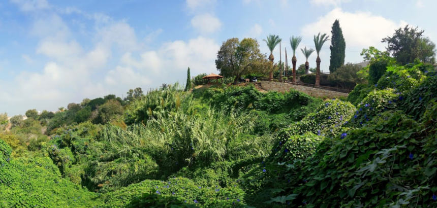 Лемба Парк - цветочный рай на Кипре, где запахи просто завораживают!: фото 9