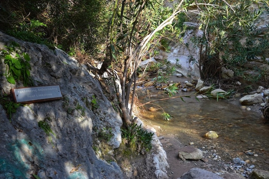 Ущелье Авакас на Кипре (Avakas Gorge. Cyprus): фото 103