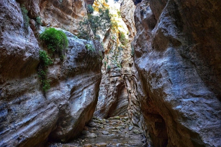 Ущелье Авакас на Кипре (Avakas Gorge. Cyprus): фото 39
