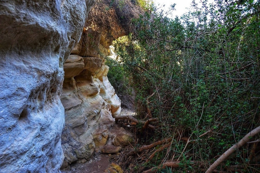 Ущелье Авакас на Кипре (Avakas Gorge. Cyprus): фото 19
