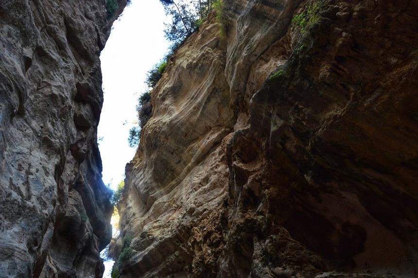 Ущелье Авакас на Кипре (Avakas Gorge. Cyprus): фото 61