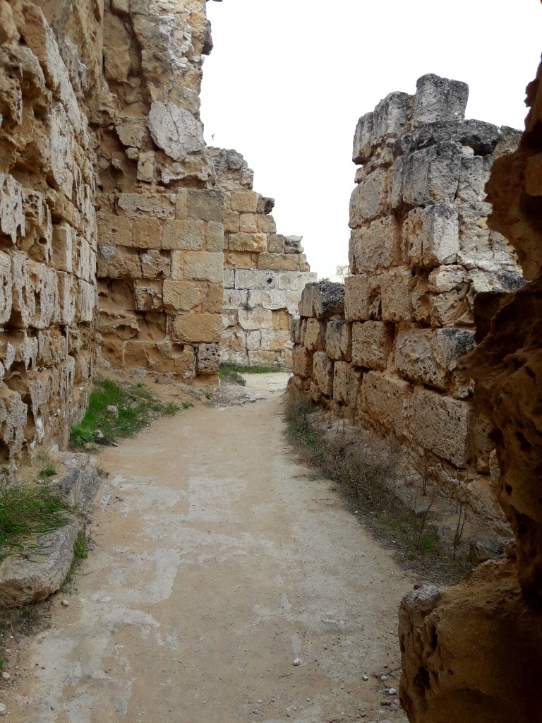 Дивная история саламинских руин: фото 11