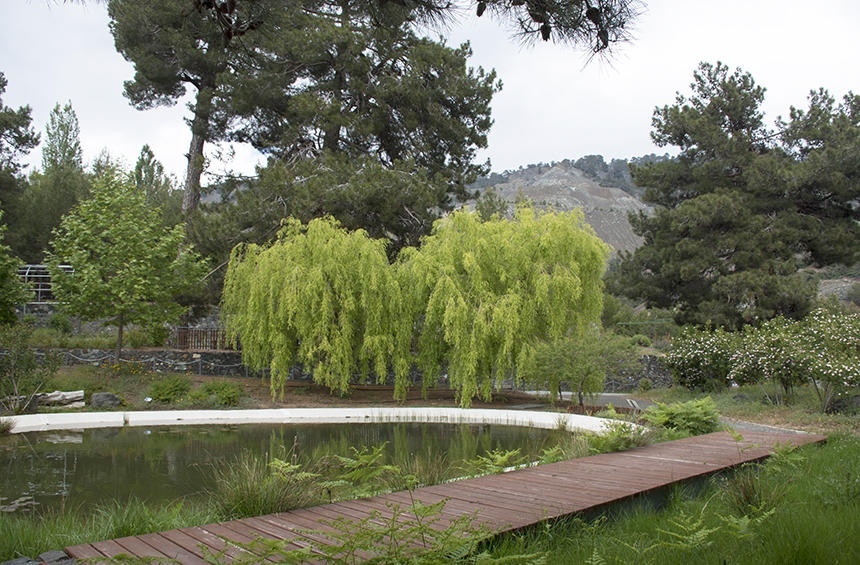 Ботанический сад Троодоса на высоте 1400 метров над уровнем моря: фото 7