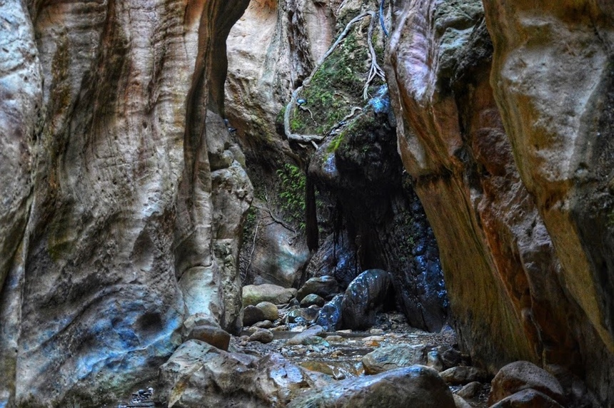 Ущелье Авакас на Кипре (Avakas Gorge. Cyprus): фото 40