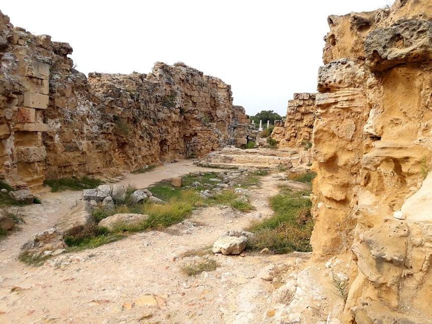 Дивная история саламинских руин: фото 44