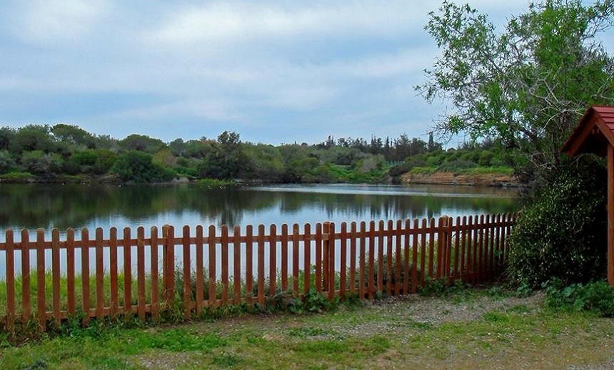 Озеро Деспотики в Лимассоле: фото 2 Озеро Деспотики в Лимассоле: фото 2