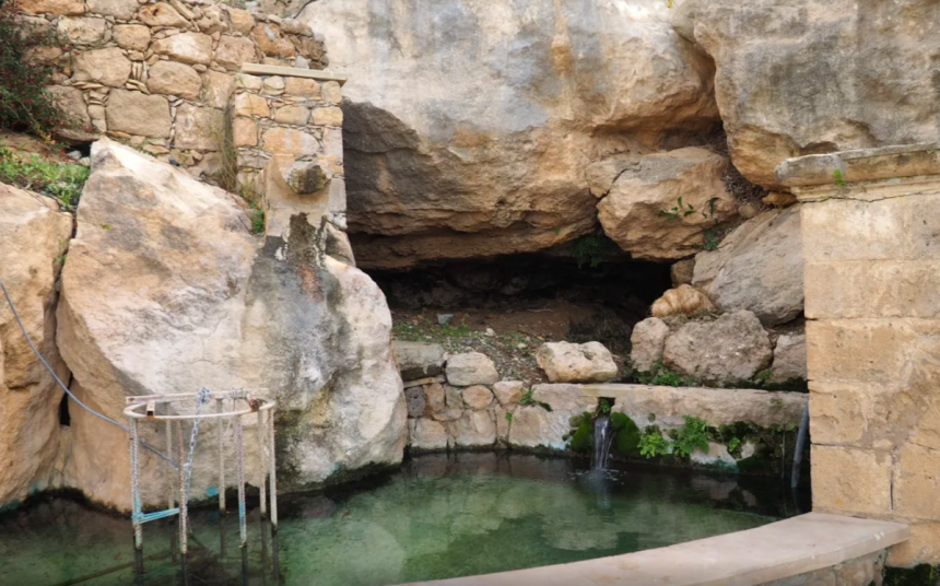 Лемба Парк - цветочный рай на Кипре, где запахи просто завораживают!: фото 8
