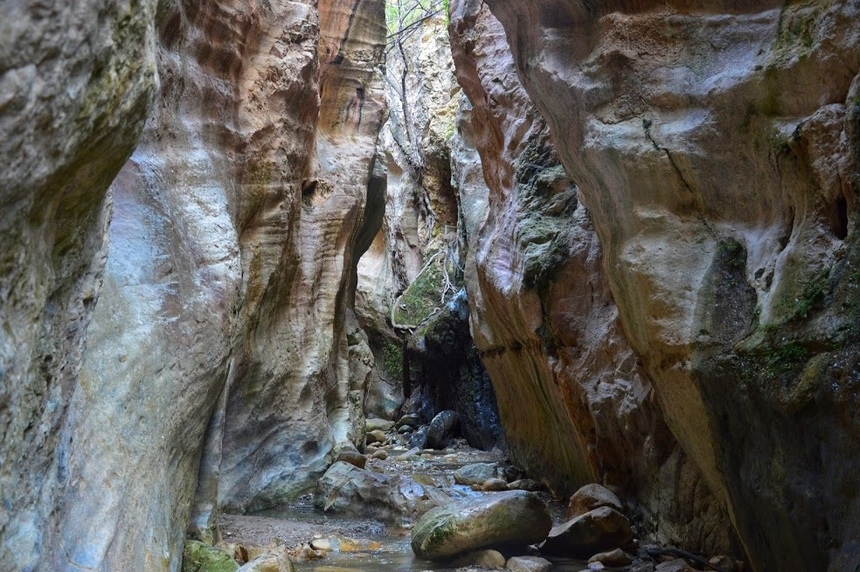 Ущелье Авакас на Кипре (Avakas Gorge. Cyprus): фото 55