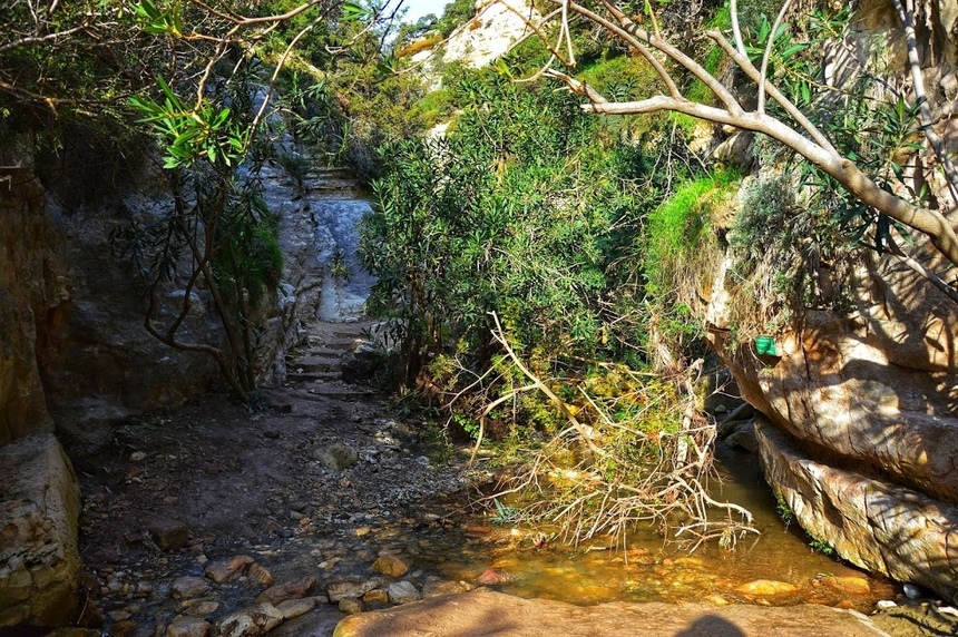 Ущелье Авакас на Кипре (Avakas Gorge. Cyprus): фото 12