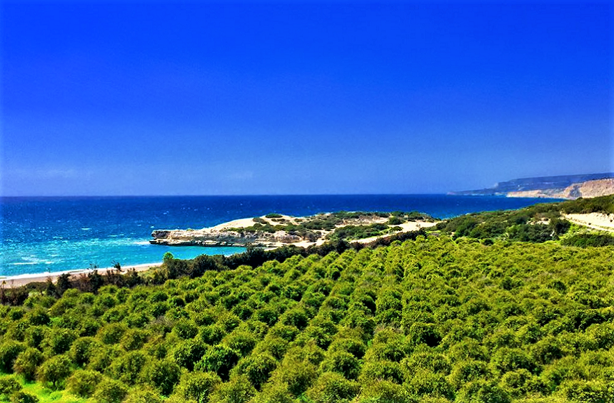 Paramali Turtle Beach - красивый пляж на Кипре, который полюбился морским черепахам!: фото 14