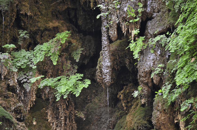 Пещеры со сталактитами на берегах реки Диаризос на Кипре (Фото и видео): фото 3