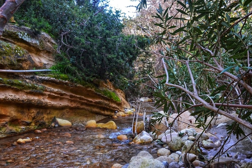 Ущелье Авакас на Кипре (Avakas Gorge. Cyprus): фото 16