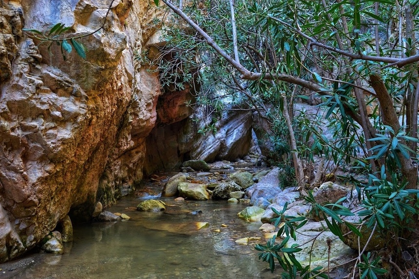 Ущелье Авакас на Кипре (Avakas Gorge. Cyprus): фото 17