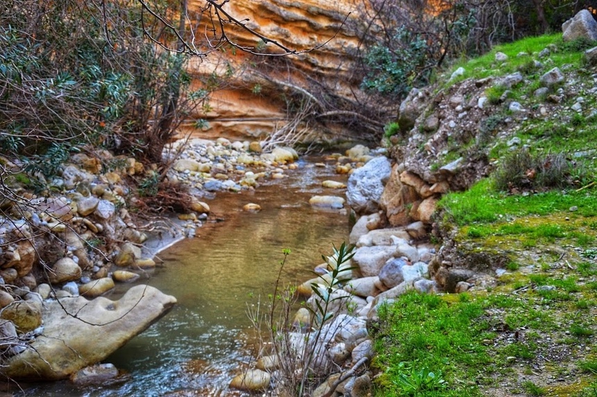 Ущелье Авакас на Кипре (Avakas Gorge. Cyprus): фото 37