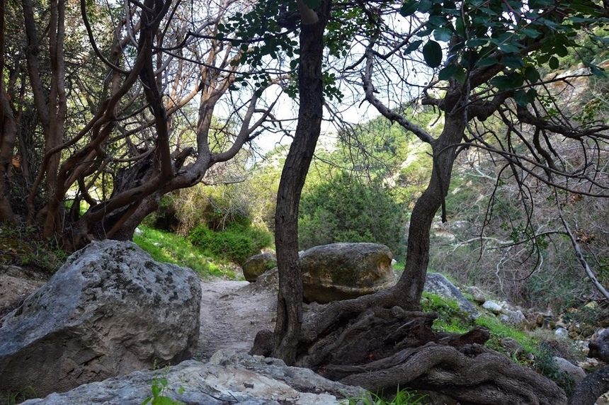 Ущелье Авакас на Кипре (Avakas Gorge. Cyprus): фото 28