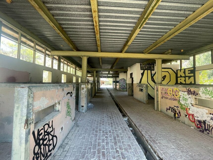 Заброшенное ранчо Аппалуза в Лимассоле: фото 8 Заброшенное ранчо Аппалуза в Лимассоле: фото 8