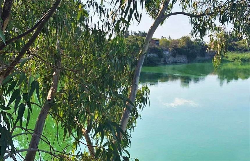 Озеро Деспотики в Лимассоле: фото 7 Озеро Деспотики в Лимассоле: фото 7