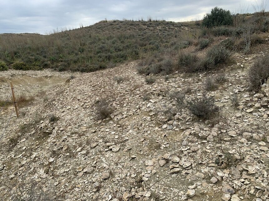 Ущелье Каккаристра — гигантское кладбище доисторических морских раковин на Кипре: фото 11