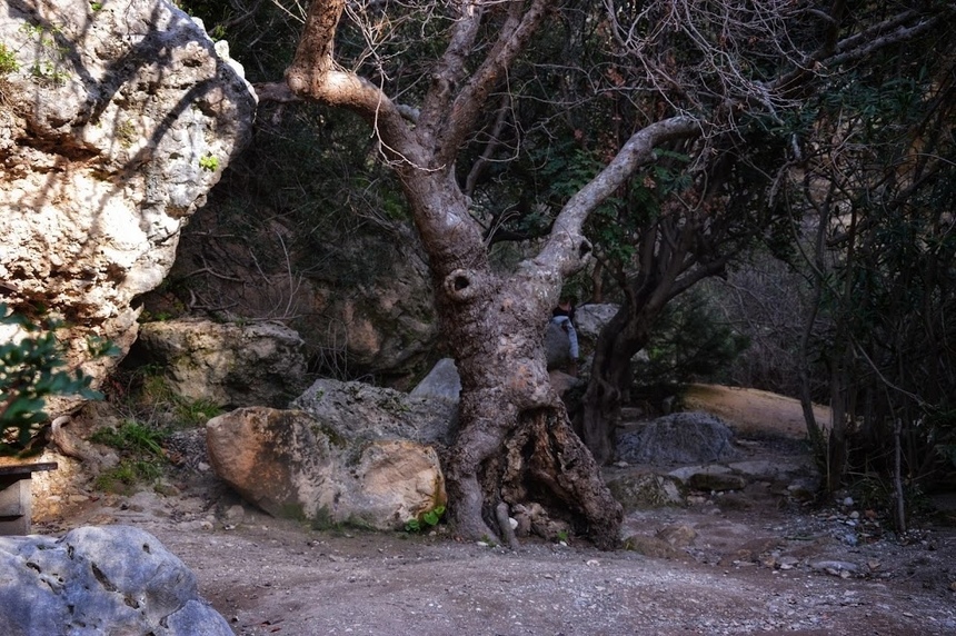 Ущелье Авакас на Кипре (Avakas Gorge. Cyprus): фото 18