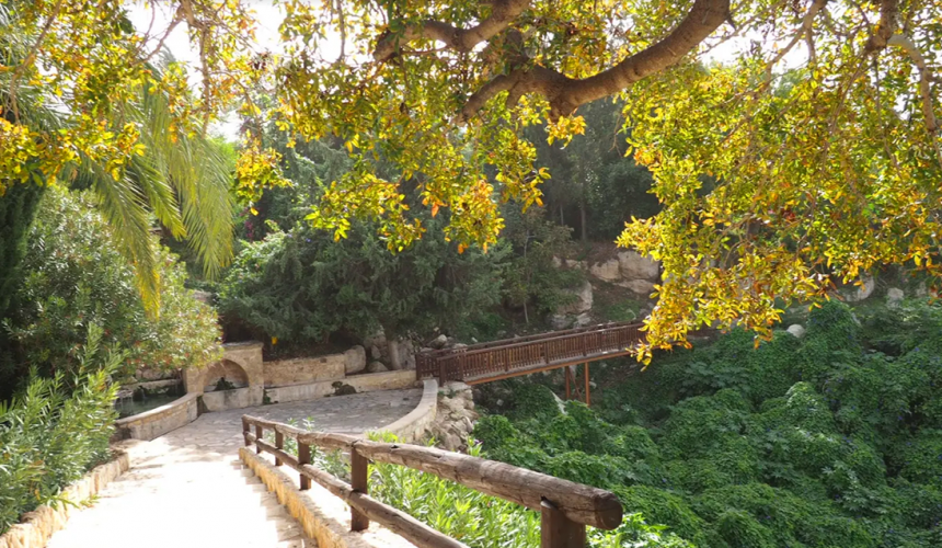Лемба Парк - цветочный рай на Кипре, где запахи просто завораживают!: фото 4