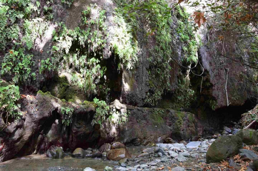 Пещеры со сталактитами на берегах реки Диаризос на Кипре (Фото и видео): фото 9
