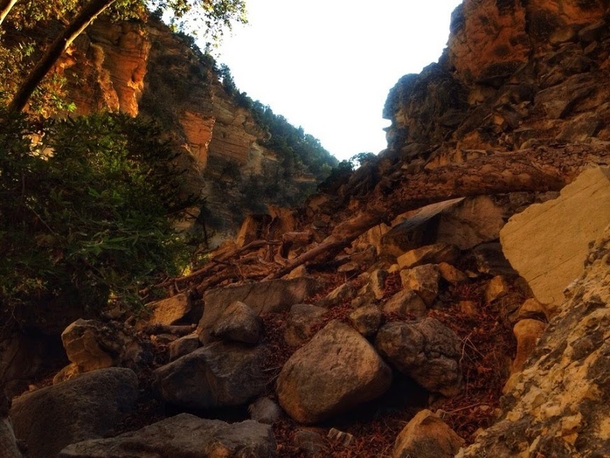Ущелье Авакас на Кипре (Avakas Gorge. Cyprus): фото 99